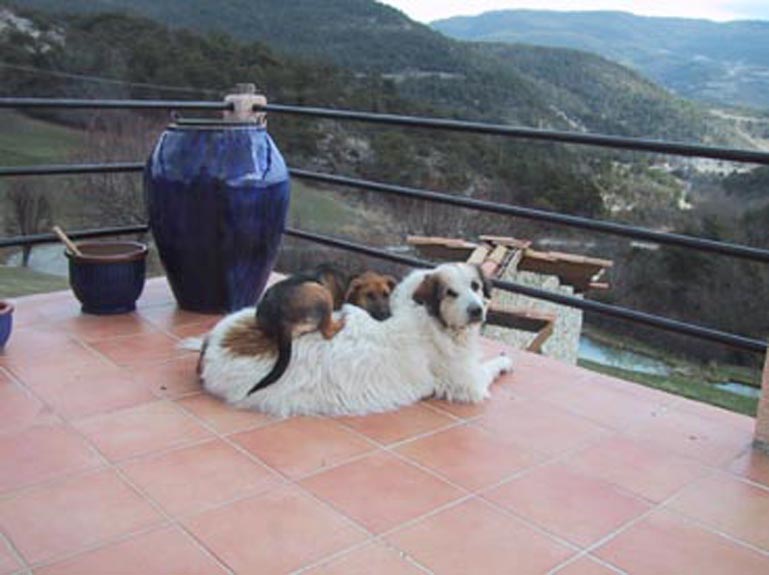 Der beste Platz.jpg (769 x 575)